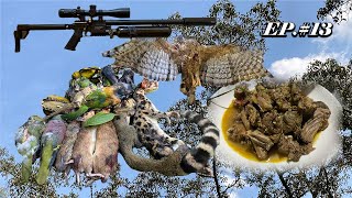 ເຂົ້າປ່າຫາອາຫານ|เข้าป่าหาอาหาร EP.13 Hunting Birds Eating Figs