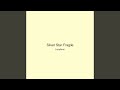 Silver Star Fragile