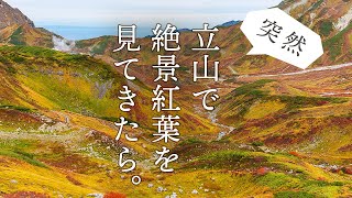 突然、立山の絶景紅葉をフルスペック装備で撮ってきた【突然シリーズ】