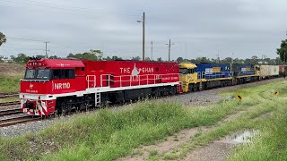 Pacific National NR110(Ghan), NR42 \u0026 NR12 with 3BM4 at Telarah - 29/1/25