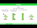 ib biology topics 9.1 u0026 9.2 hl transport in the xylem and phloem of plants