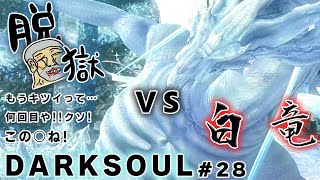 【#28 DARK SOULS/ダークソウル】ソウルダークでゴクダツとシースー【脱獄】#ダークソウル #フロムゲー #完全初見