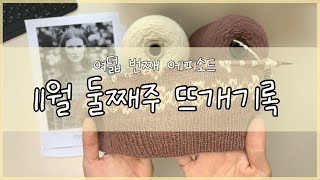 [여덟 번째] 뜨개기록 - 시작하는 문어발(WIP) 소개, 11월 둘째주 이야기