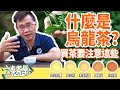 【六奉茶莊】什麼是烏龍茶？看完影片買茶不再霧颯颯！