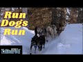 Iditarod 2023 - Run Dogs Run documentary -