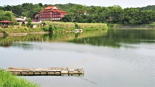 造橋 龍昇湖南瓜藝術節