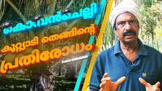 കൊമ്പൻ ചെല്ലി- കുറ്റിയാടി തെങ്ങിൻ്റെ പ്രതിരോധം|Francis Kaithakulath|