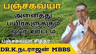 விவசாயத்தில் நீக்கமற  அனைத்து பயிர்களுக்கும் ஊட்டம் தரும் பஞ்சகவ்யா -Dr.K.நடராஜன் MBBS