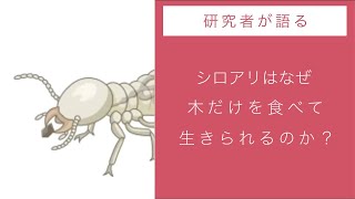 生命誌レクチャー　本郷裕一（東京工業大学）