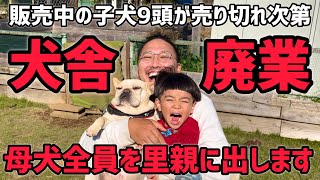 【重大発表】今日、犬舎を廃業します。母犬達は全員里親に出します。