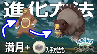 【ポケモンレジェンズアルセウス】ガチグマ進化方法判明！圧倒的暴力の前にひれ伏せ～part,2【Pokemon Legends Arceus】