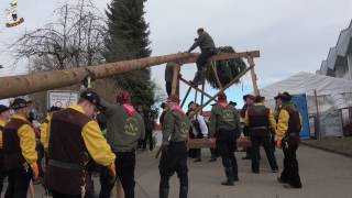 Narrentage 2017 Narrenbaumstellen in Markelfingen am 4.02.2017 (4K)