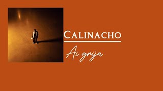 Calinacho - Ai grija (lyrics)