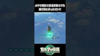 【ティアキン】オクタ風船を使って高速移動するリンク【ゼルダの伝説 ティアーズ オブ ザ キングダム】