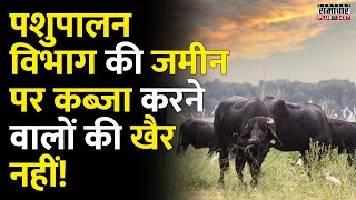 Jaipur News: पशुपालन विभाग की जमीन पर कब्जा करने वालों की खैर नहीं! | Rajasthan News | Top News