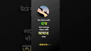 উঠে দাঁড়াতে একটা হাত লাগে।Motivational Quotes Bangla 🔥- Bangla Status Video 🌺 #shorts  #motivational