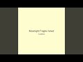 Moonlight Fragile Velvet