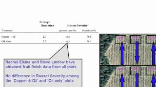 Fire Blight Control in Organic Pear and Apple