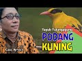 PODANG KUNING - TAYUB TULUNGAGUNG - COVER BIMA SWARA