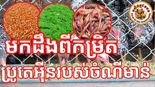 កម្រិតប្រូតេអុីនក្នុងចំណីមាន់/ Showing protein of feed of chicken