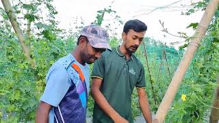 বর্ষা মৌসুমের তরমুজ 🍈🙂#farmer #md_monirul_islam 🌱