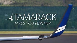 Tamarack Aerospace: About Us