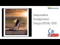 Responsive Background Image (HTML & CSS) | How to make Responsive Background Image