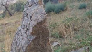 I Menhir a Cerami