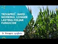 Trivapro®: Hard working, longer lasting foliar fungicide