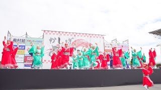 [4K]夢舞隊　かしばよさこい祭2017