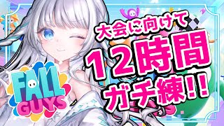 【#fallguys 】明日大会に向けてラスト12時間ガチ練習❤️‍🔥めざせクラウン👑 【瀬乃ここは /Vtuber】