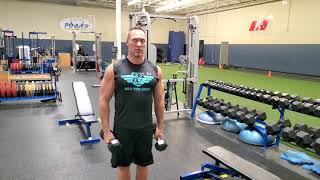 bicep curls: dumbbell (supinated grip, Hammer grip, pronated grip)