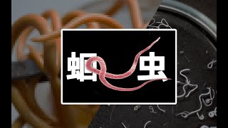 你的肚子里有多少蛔蟲？| 寄生蟲病有多可怕？|貓脫MaoTalk