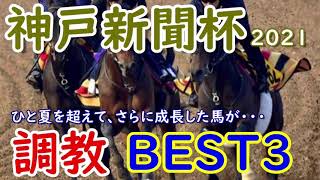 【神戸新聞杯】神戸新聞杯2021　調教BEST3　ダービー馬シャフリヤール登場!!!ステラヴェローチェもいいが、ひと夏超えてさらに成長した・・・【調教診断】