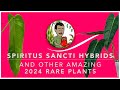 2024 Rare Collector Plants: Spiritus Sancti Hybrids Spotlight, New Anthurium, and MORE! 🌱✨