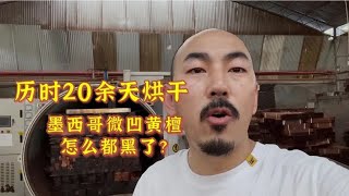 墨西哥微凹黄檀家具料烘干介绍，开窑那一刻，我惊呆了