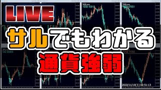 【FXライブ配信】主要8通貨インデックス