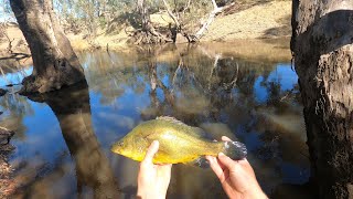 Yellow Belly fishing has NEVER been this GOOD! | Ep. 24
