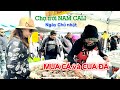 Vlog 153: MUA CÁ VÀ CUA ĐÁ ở CHỢ TRỜI