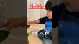 【2歳児】母の日サプライズ