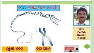 Nucleus (ନ୍ୟଷ୍ଟି)/Class 9/Science