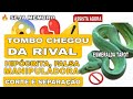 😳 PRECISO TE FAZER ALERTAS URGENTES SOBRE RIVAL E SER AMADO - CATREVA - MOCREIA - SÁBADO TAROT hoje