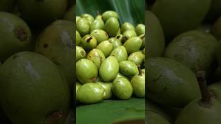 #olive #food #olivepickle #cooking #olivetree #recipe #olivepicklerecipe #olivegreen #shortvideo