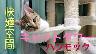 【猫居住空間】キャットタワーのハンモックが快適すぎるネコたち