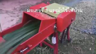 เครื่องสับหญ้าเนเปียร์แบบดึงหญ้าเองอัตโนมัติ