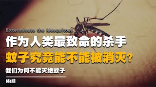 作為人類最致命的殺手，蚊子究竟能不能被消滅？為何不能滅絕蚊子 #纪实 #醫療紀錄片 #生命緣 #醫院 #紀錄片