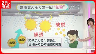 【雷雨ぜんそく】秋は注意  雨や台風後に呼吸が苦しく…  症状ない人も突然発症？【#みんなのギモン】