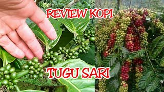 review kopi TuguSari / TS.  salah satu kopi terbaik