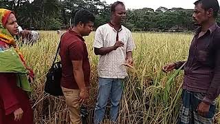 ফকিরহাট,বাগেরহাট এর সাফল্য ফাতেমা ধান