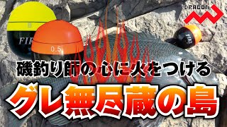 磯釣り師の心に火をつけるクロ無尽蔵の島